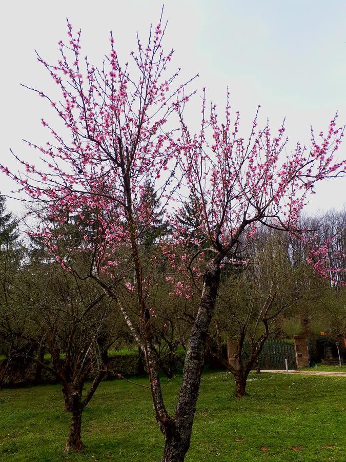 Monticelli Capranica